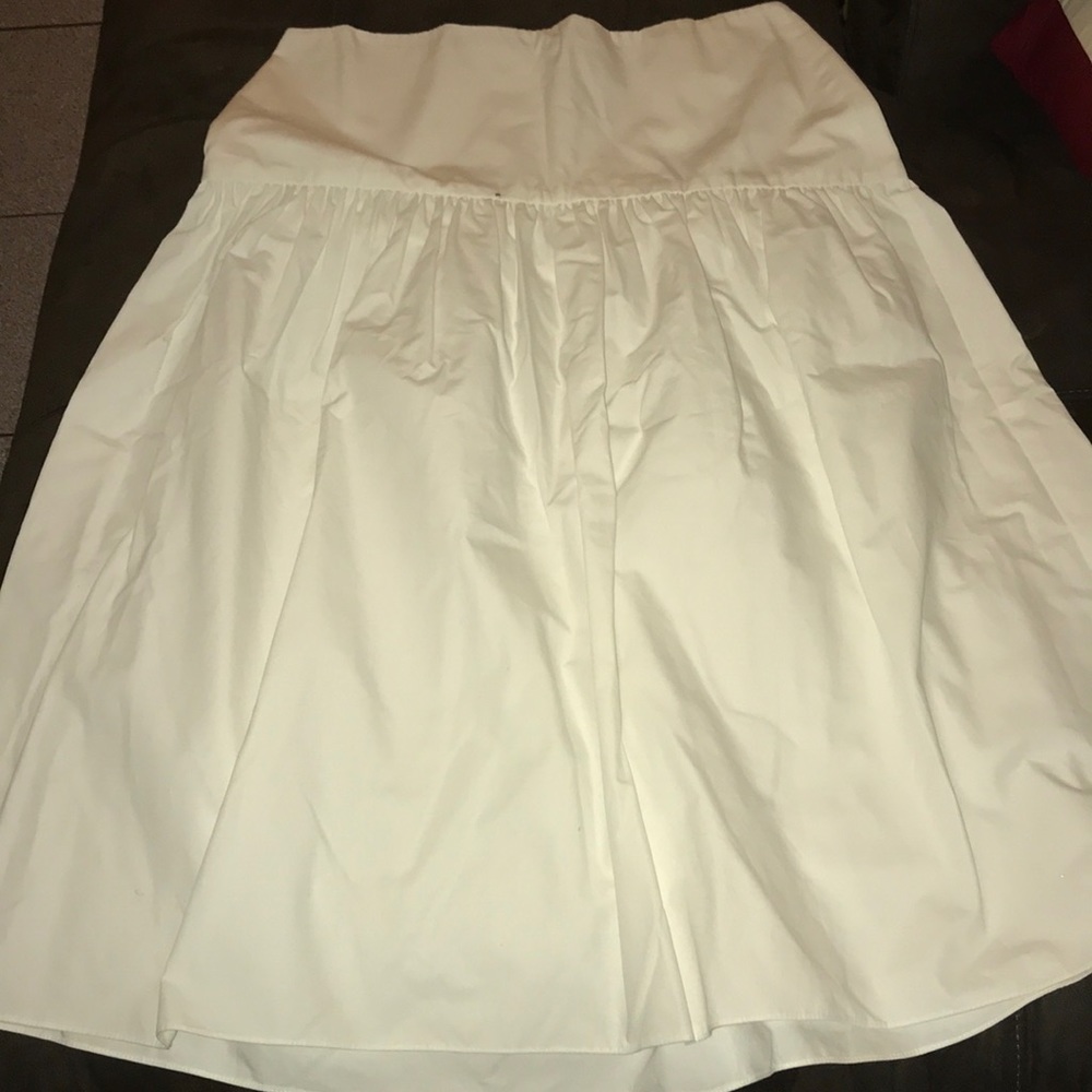 Brand new without tags high waisted Skirt